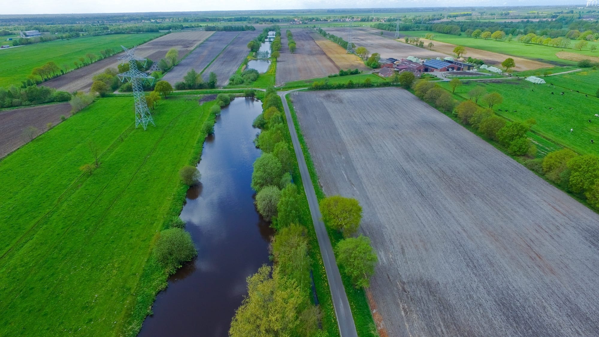 Penningskolke