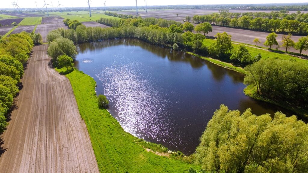 Tammenkolk